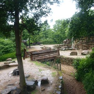 Asian elephant exhibit, 2015-07-19