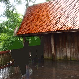 Asian elephant viewing pavilion, 2015-07-19