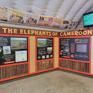 Aug. 2022 - Watani Grasslands Reserve - Elephant Tracking Station