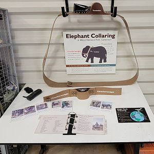 Aug. 2022 - Watani Grasslands Reserve - Elephant Tracking Station