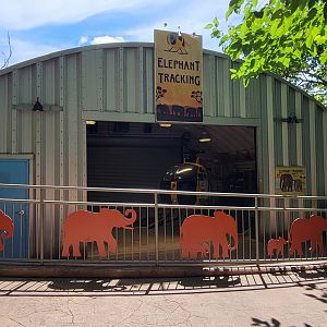 Aug. 2022 - Watani Grasslands Reserve - Elephant Tracking Station