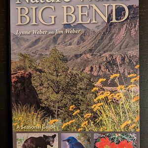 Nature Watch Big Bend: A Seasonal Guide