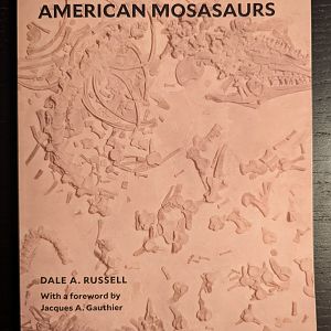 Systematics and Morphology of American Mosasaurs