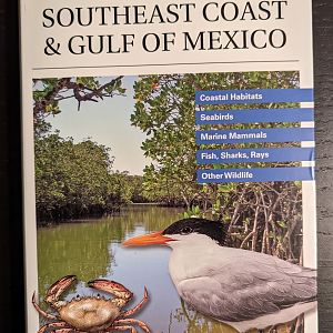 A Field Guide to the Southeast Coast & Gulf of Mexico