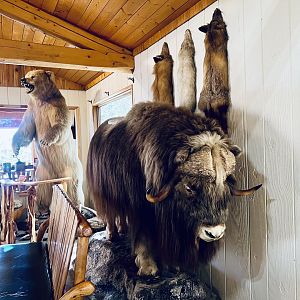 The Long Rifle Lodge - Sutton Alaska