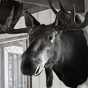 The Long Rifle Lodge - Sutton Alaska