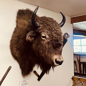 The Long Rifle Lodge - Sutton Alaska