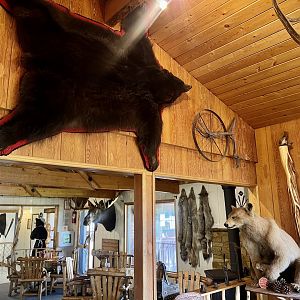 The Long Rifle Lodge - Sutton Alaska