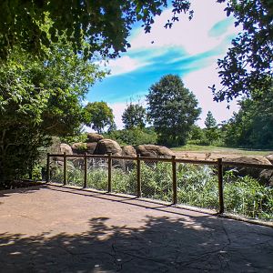 Aug. 2022 - Watani Grasslands Reserve - Right Elephant Exhibit Viewing