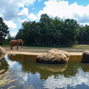 Aug. 2022 - Watani Grasslands Reserve - Right Elephant Exhibit Panorama (2.25 Acres)