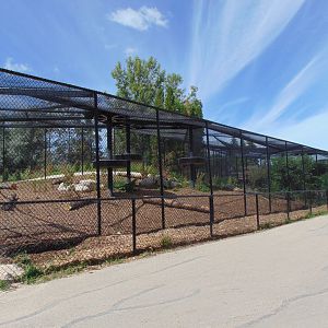 Newly expanded Cougar habitat (2022)