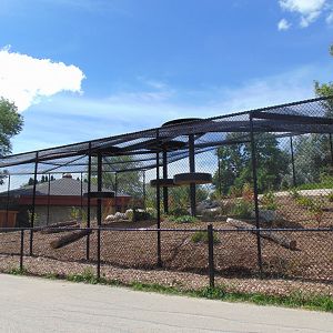 Newly expanded Cougar habitat (2022)