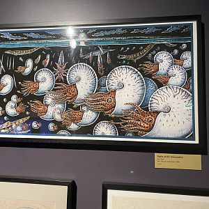 Night of the ammonites (Ray Troll)