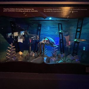 Habitat destruction (Nemo Gould)