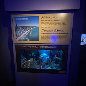 Habitat destruction (Nemo Gould)