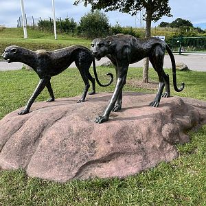 Cheetah Statues