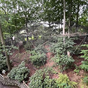 Leopard Exhibit - see the cat?