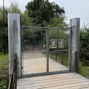 Squirrel Monkey Walk Through