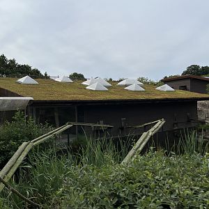 Squirrel Monkey House