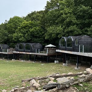 African Savanna - accommodation