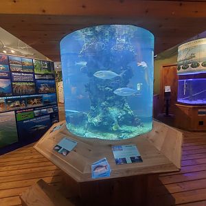 The River Center (2022)