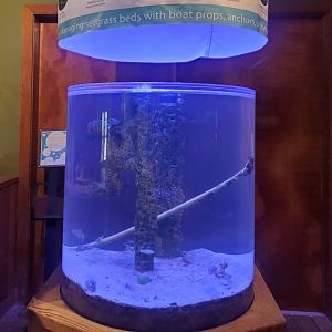 The River Center (2022)