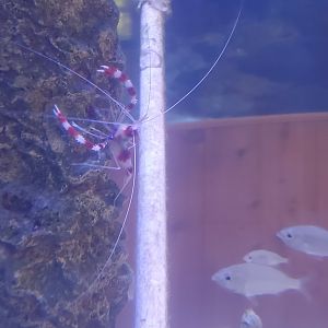 The River Center (2022)