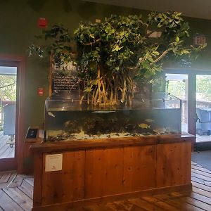 The River Center (2022)