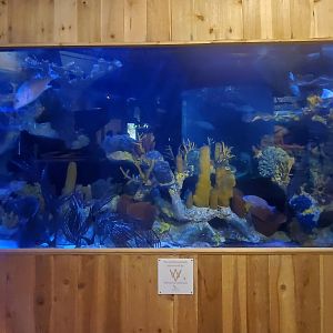 The River Center (2022)