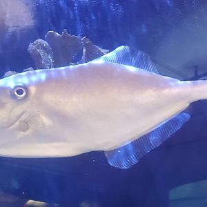 The River Center (2022)