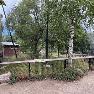 African Crowned Crane/Ground Hornbill Walk Through