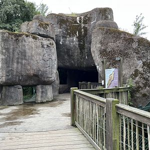 Lion Exhibit #2 - viewing cave