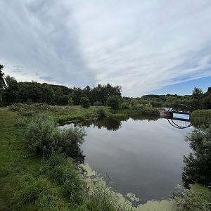 Wolf Exhibit - enormous!