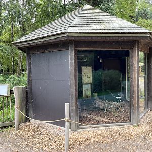Giant Anteater House