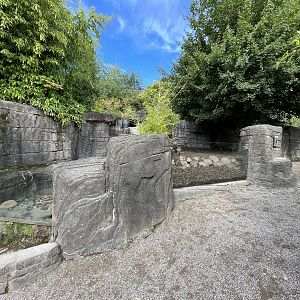 Small-clawed Otter Exhibit