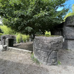 Small-clawed Otter Exhibit