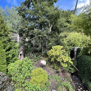 Red-crowned Crane Exhibit