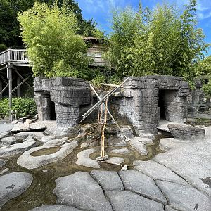 Small-clawed Otter Exhibit (visitor area)