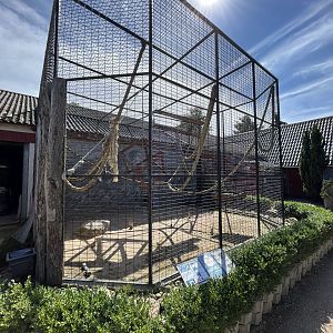 Ring-tailed Lemur Exhibit