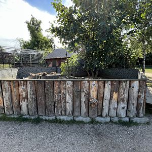 Small-clawed Otter Exhibit