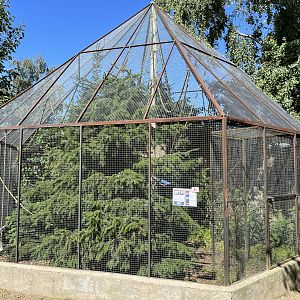 Red-bellied Squirrel Exhibit