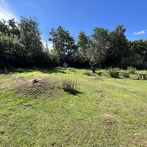 Bennett’s Wallaby Exhibit
