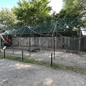 Barbary Macaque Exhibit