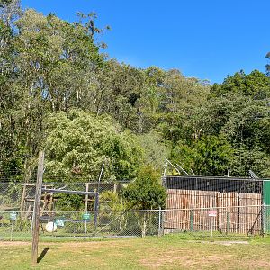 Sun Bear Enclosure (front view)