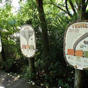 Aug. 2022 - Watani Grasslands Reserve - Elephant Signage