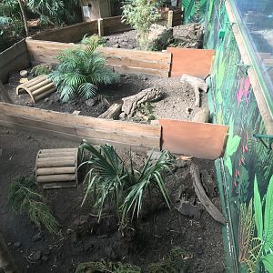 Three banded armadillo enclosures