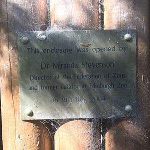 African wild dog enclosure opening date