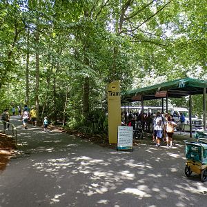 Aug. 2022 - Africa - Tram Station