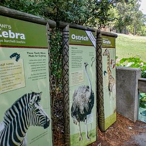 Aug. 2022 - Africa - Forest Edge Signage