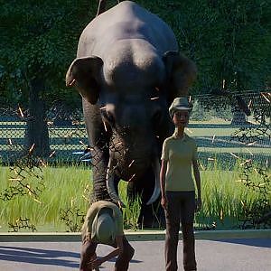 Planet Zoo Elephants Gone Wild! - YouTube